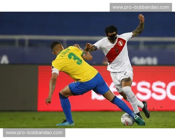 美洲杯赛事访谈:穿越绿茵场的声音与热血