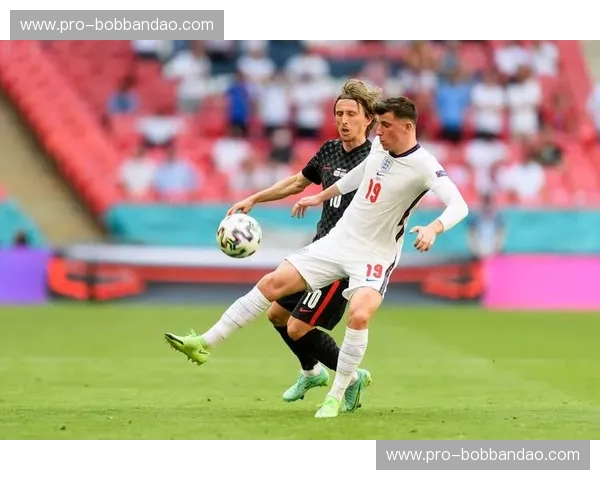 跌宕起伏的绿茵史诗：波黑与比利时的足球情缘